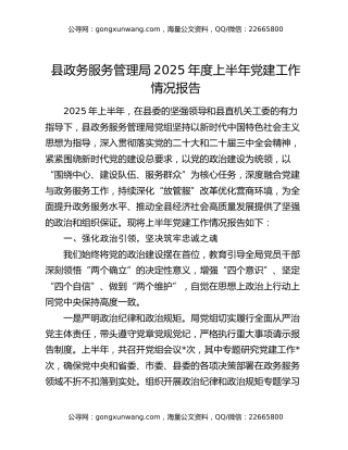 县政务服务管理局2025年度上半年党建工作情况报告