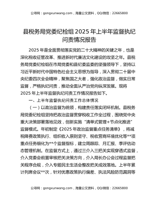 县税务局党委纪检组2025年上半年监督执纪问责情况报告