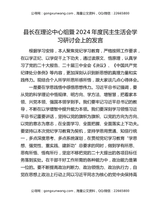 县长在理论中心组暨2024年度民主生活会学习研讨会上的发言