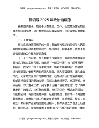 县领导2025年政治自画像