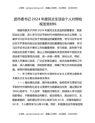 团市委书记2024年度民主生活会个人对照检视发言材料