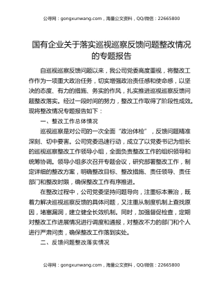 国有企业关于落实巡视巡察反馈问题整改情况的专题报告