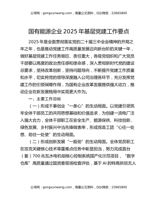 国有能源企业2025年基层党建工作要点