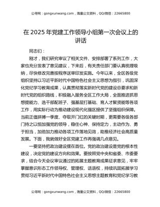 在2025年党建工作领导小组第一次会议上的讲话