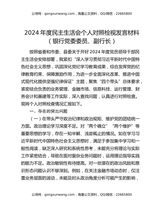 2024年度民主生活会个人对照检视发言材料（银行党委委员、副行长）
