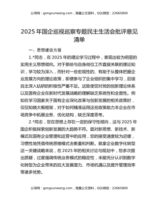 2025年国企巡视巡察专题民主生活会批评意见清单