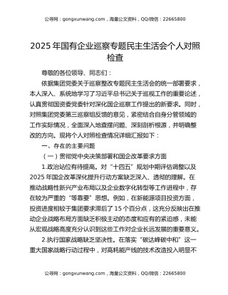 2025年国有企业巡察专题民主生活会个人对照检查