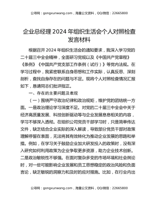 企业总经理2024年组织生活会个人对照检查发言材料