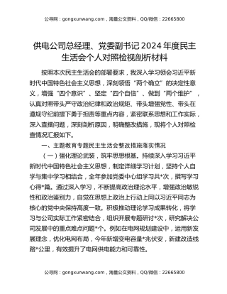 供电公司总经理、党委副书记2024年度民主生活会个人对照检视剖析材料