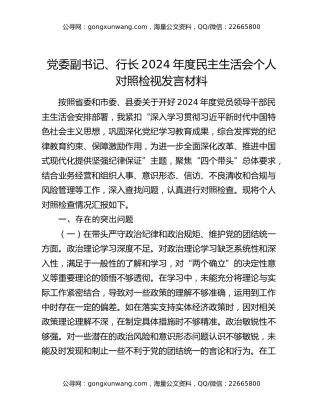 党委副书记、行长2024年度民主生活会个人对照检视发言材料