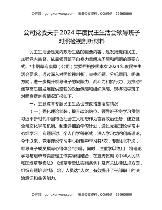 公司党委关于2024年度民主生活会领导班子对照检视剖析材料