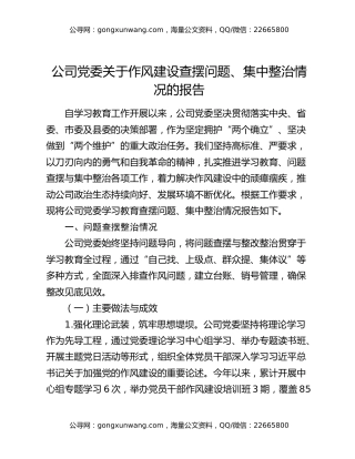 公司党委关于作风建设查摆问题、集中整治情况的报告