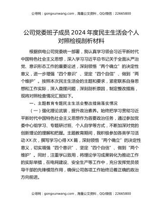 公司党委班子成员2024年度民主生活会个人对照检视剖析材料