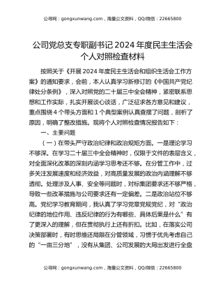 公司党总支专职副书记2024年度民主生活会个人对照检查材料
