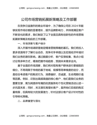 公司市场营销拓展新策略及工作部署