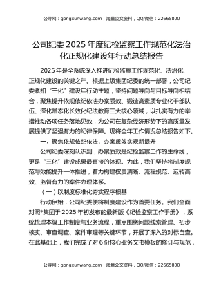 公司纪委2025年度纪检监察工作规范化法治化正规化建设年行动总结报告