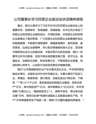 公司董事长学习民营企业座谈会讲话精神感悟