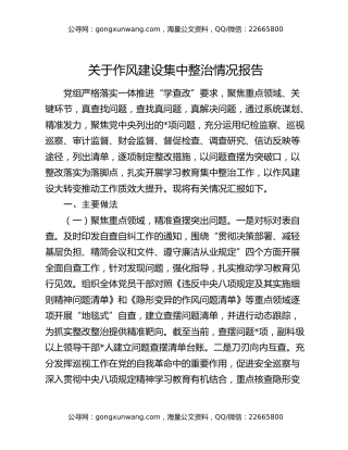 关于作风建设集中整治情况报告