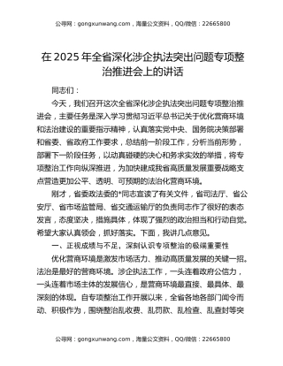在2025年全省深化涉企执法突出问题专项整治推进会上的讲话
