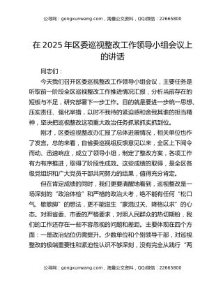 在2025年区委巡视整改工作领导小组会议上的讲话