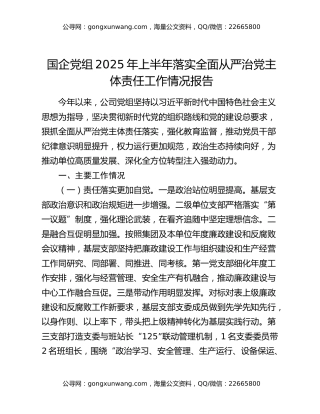国企党组2025年上半年落实全面从严治党主体责任工作情况报告