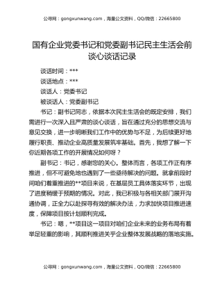 国有企业党委书记和党委副书记民主生活会前谈心谈话记录