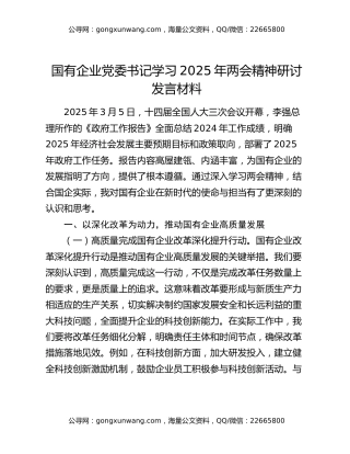 国有企业党委书记学习2025年两会精神研讨发言材料