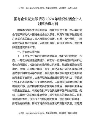 国有企业党支部书记2024年组织生活会个人对照检查材料