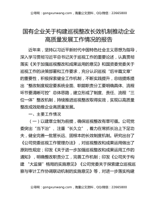 国有企业关于构建巡视整改长效机制推动企业高质量发展工作情况的报告