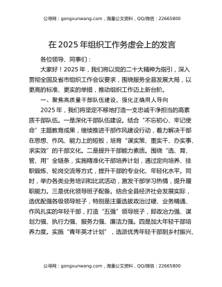 在2025年组织工作务虚会上的发言
