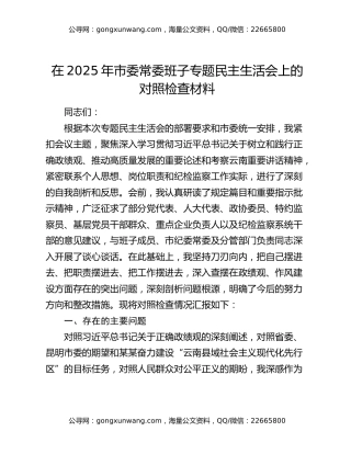 在2025年市委常委班子专题民主生活会上的对照检查材料