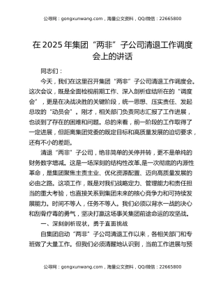 在2025年集团“两非”子公司清退工作调度会上的讲话