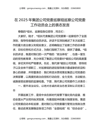 在2025年集团公司党委巡察组巡察公司党委工作动员会上的表态发言