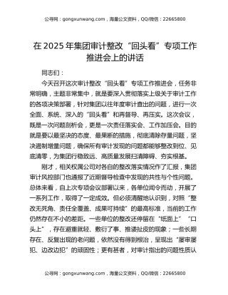 在2025年集团审计整改“回头看”专项工作推进会上的讲话