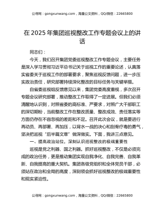 在2025年集团巡视整改工作专题会议上的讲话