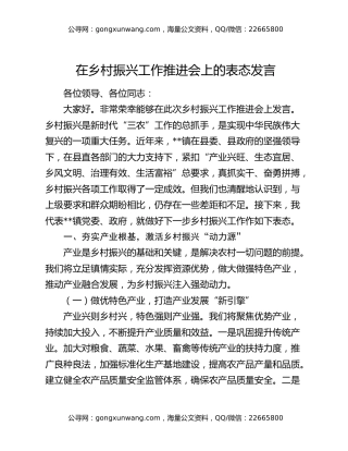 在乡村振兴工作推进会上的表态发言