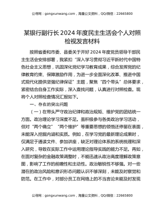 某银行副行长2024年度民主生活会个人对照检视发言材料