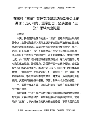 在农村“三资”管理专项整治动员部署会上的讲话：刀刃向内，重拳出击，坚决整治“三资”领域突出问题