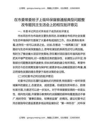 在市委常委班子上级环保督察通报典型问题整改专题民主生活会上的相互批评意见