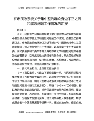 在市民政系统关于集中整治群众身边不正之风和腐败问题工作情况的汇报