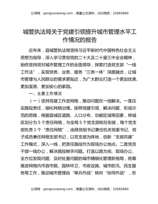 城管执法局关于党建引领提升城市管理水平工作情况的报告