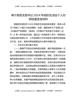 审计局党支部书记2024年组织生活会个人对照检查发言材料