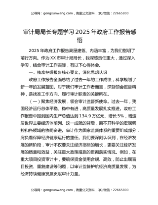 审计局局长专题学习2025年政府工作报告感悟