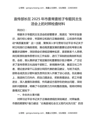宣传部长在2025年市委常委班子专题民主生活会上的对照检查材料