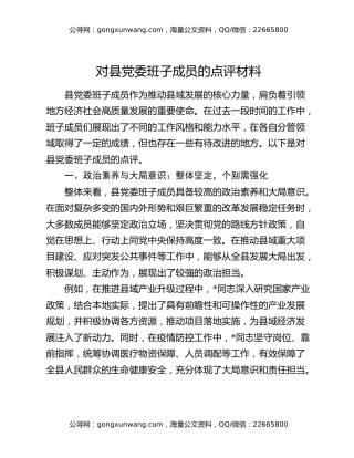 对县党委班子成员的点评材料