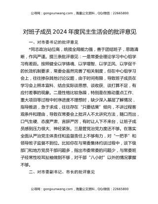 对班子成员2024年度民主生活会的批评意见