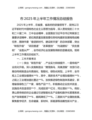 市2025年上半年工作情况总结报告
