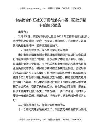 市供销合作联社关于贯彻落实市委书记批示精神的情况报告