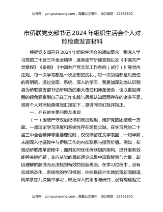市侨联党支部书记2024年组织生活会个人对照检查发言材料