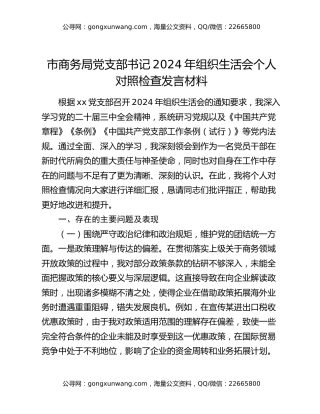 市商务局党支部书记2024年组织生活会个人对照检查发言材料